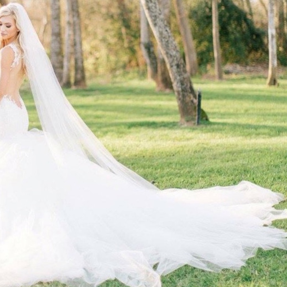 6 Foot Silk/Diamond White Veil